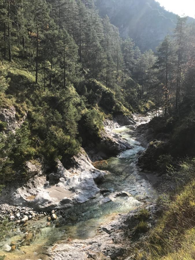 Pension Gut Trogern Bad Eisenkappel Exteriér fotografie