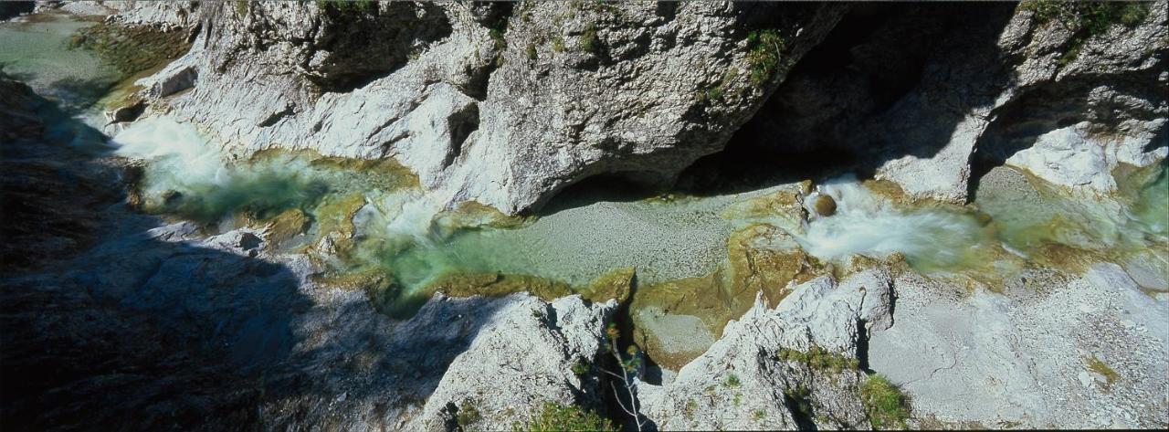 Pension Gut Trogern Bad Eisenkappel Exteriér fotografie