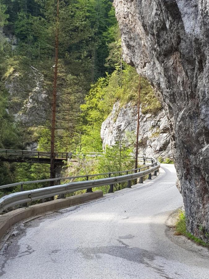 Pension Gut Trogern Bad Eisenkappel Exteriér fotografie
