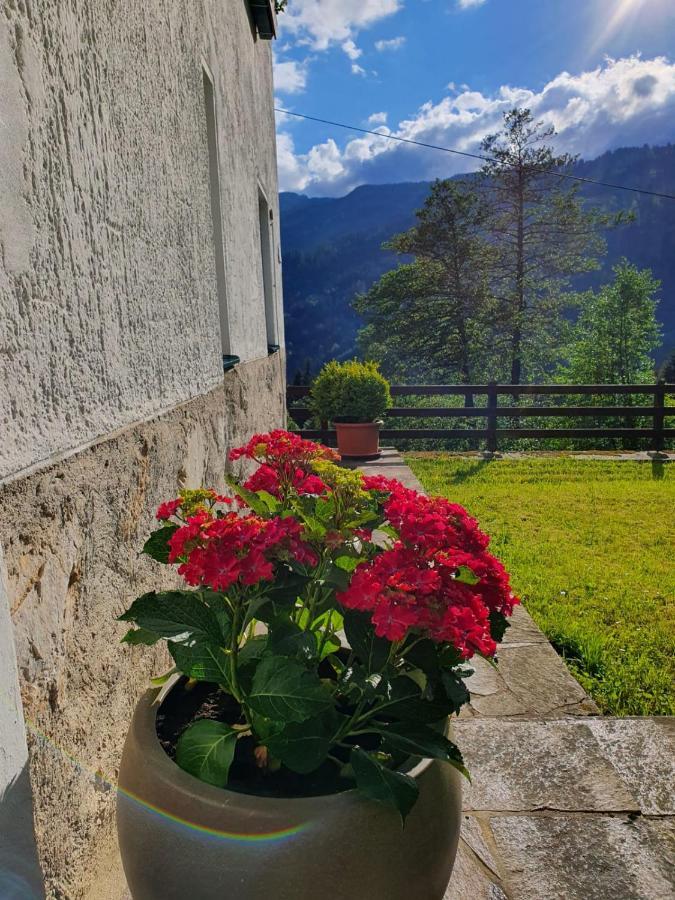 Pension Gut Trogern Bad Eisenkappel Exteriér fotografie
