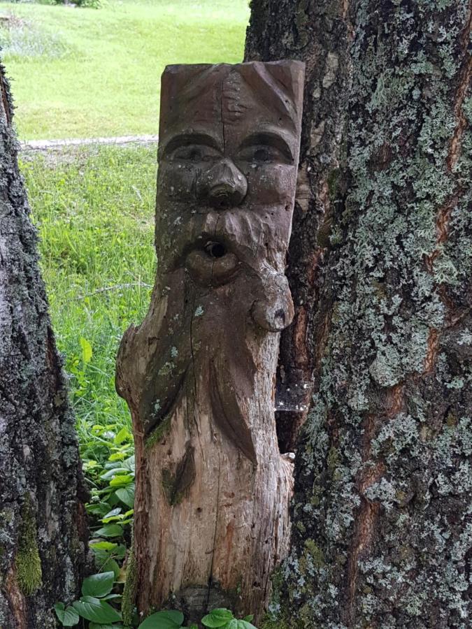 Pension Gut Trogern Bad Eisenkappel Exteriér fotografie