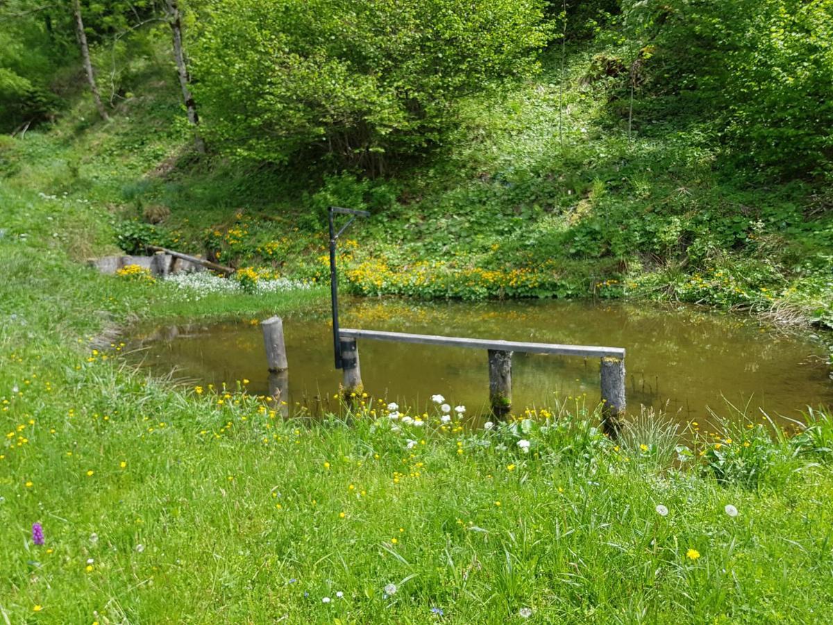 Pension Gut Trogern Bad Eisenkappel Exteriér fotografie