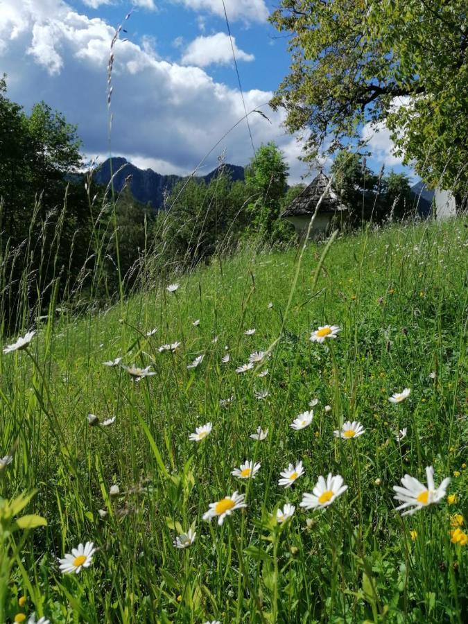 Pension Gut Trogern Bad Eisenkappel Exteriér fotografie